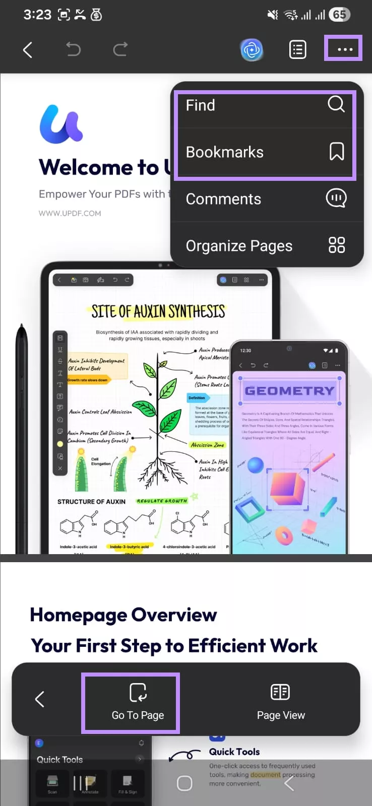 updf nump to page options