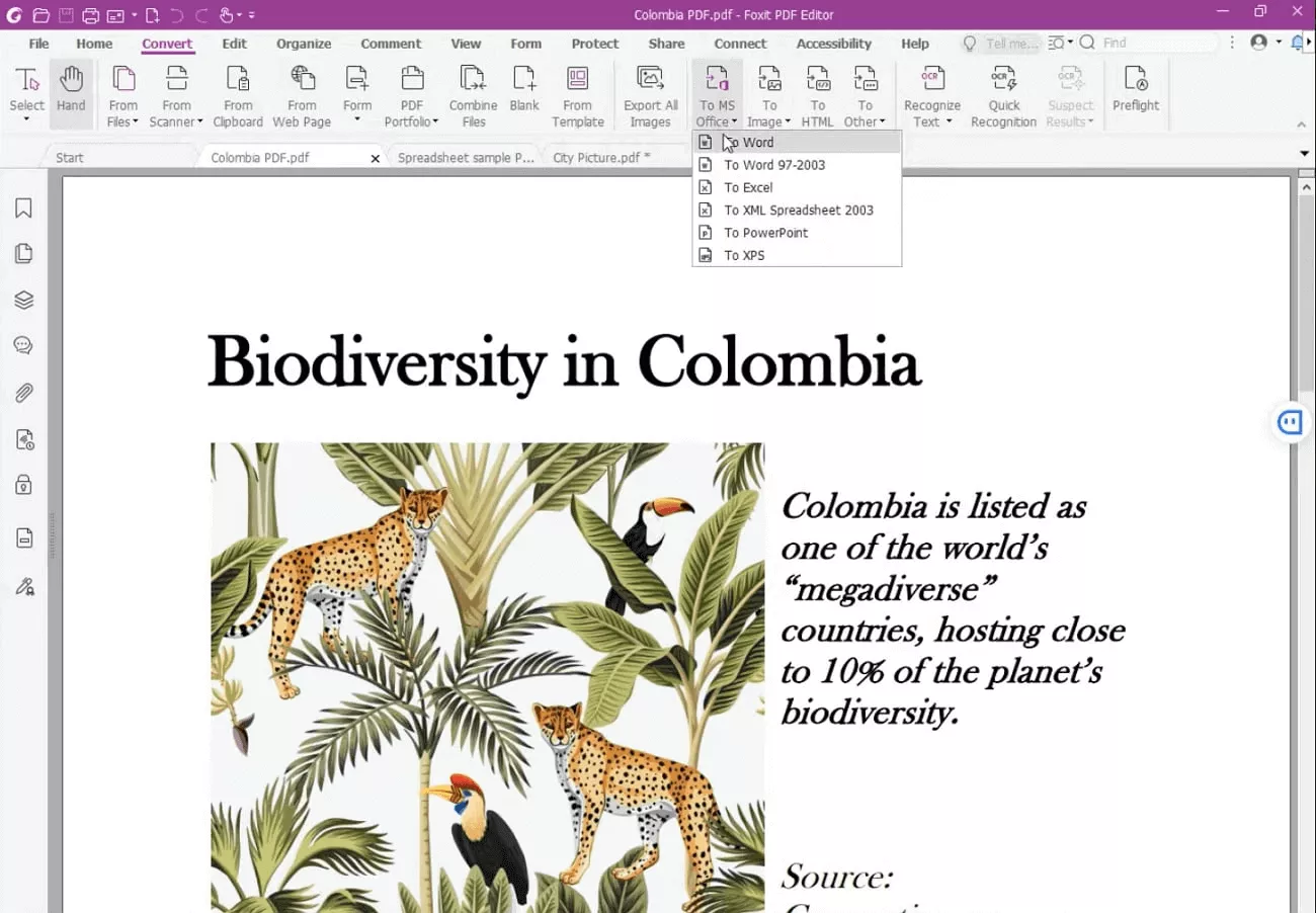 Foxit PDF to Word Converter PC
