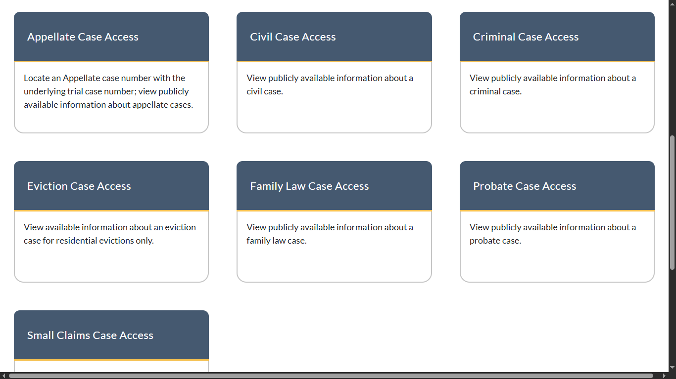 case type to access