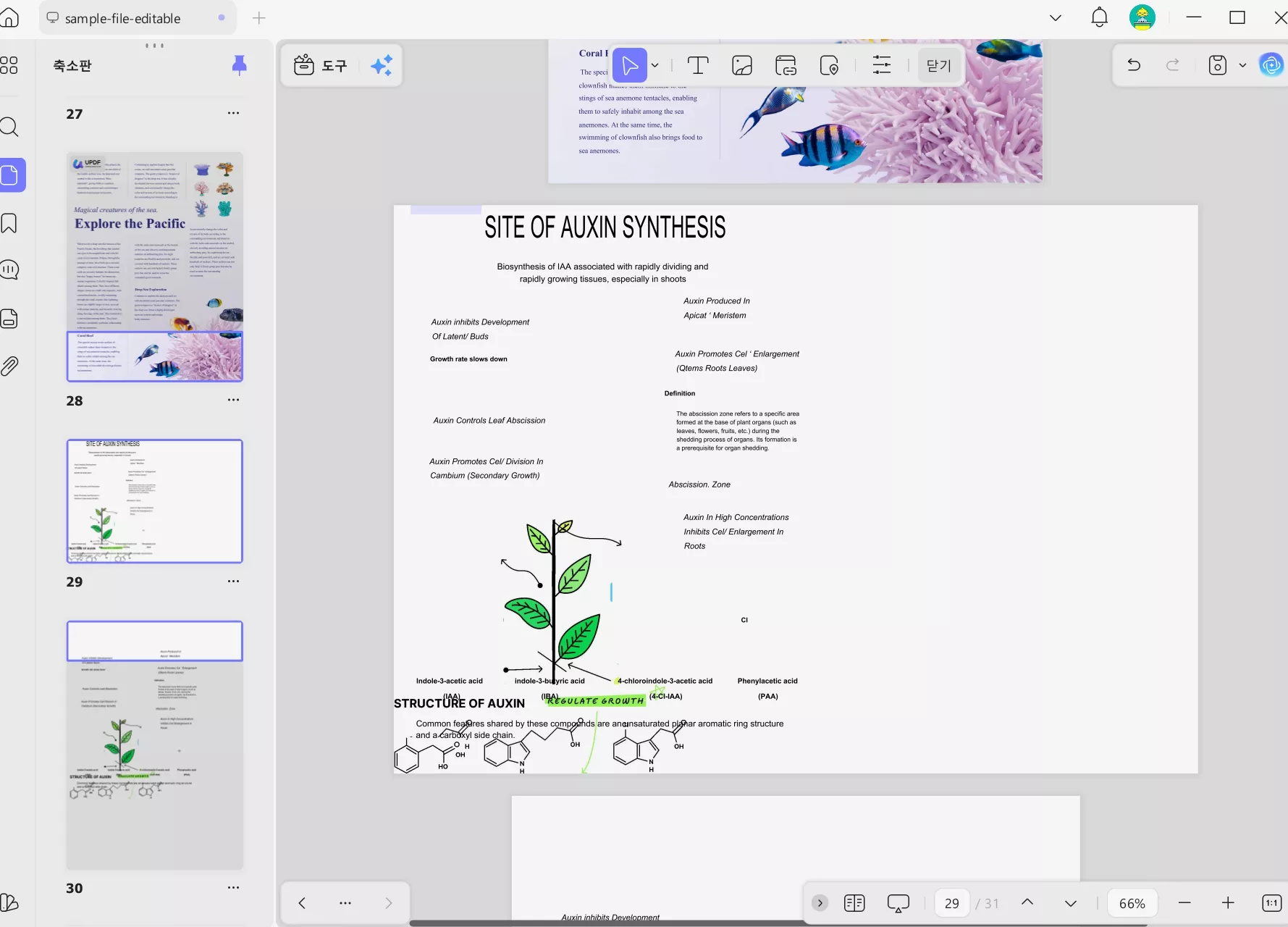 빈 페이지에 복사 및 붙여넣기