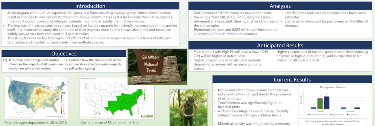 introduction in research poster