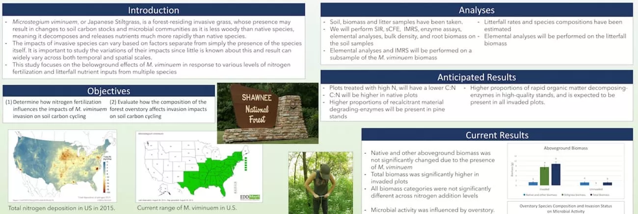 introduction in research poster