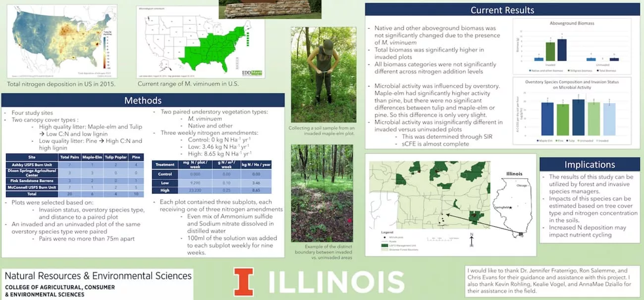 conclusion in research poster