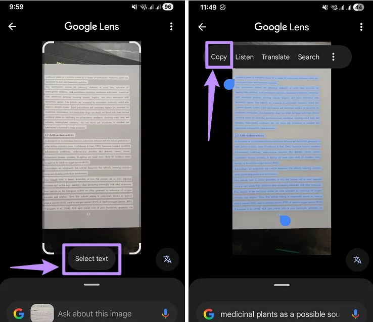  copy text from image with google lens