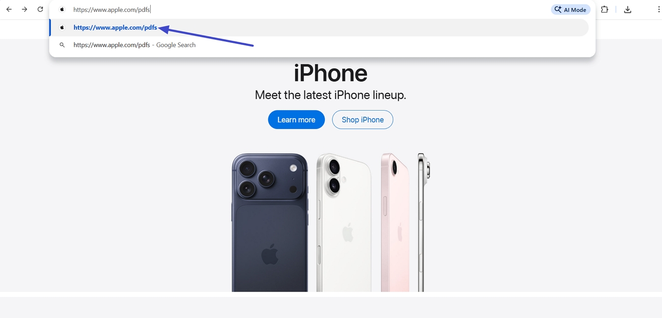 put file type address bar