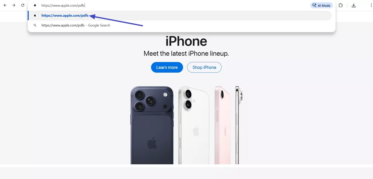 put file type address bar