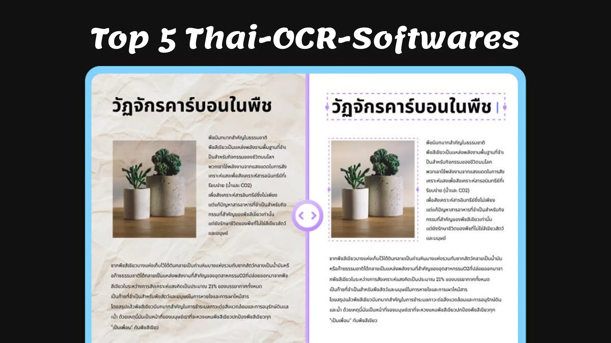 5 beste Thai-OCR-Programme (Funktionen, Vor- und Nachteile)