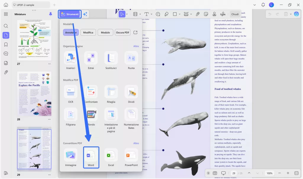 convert pdf to word it 