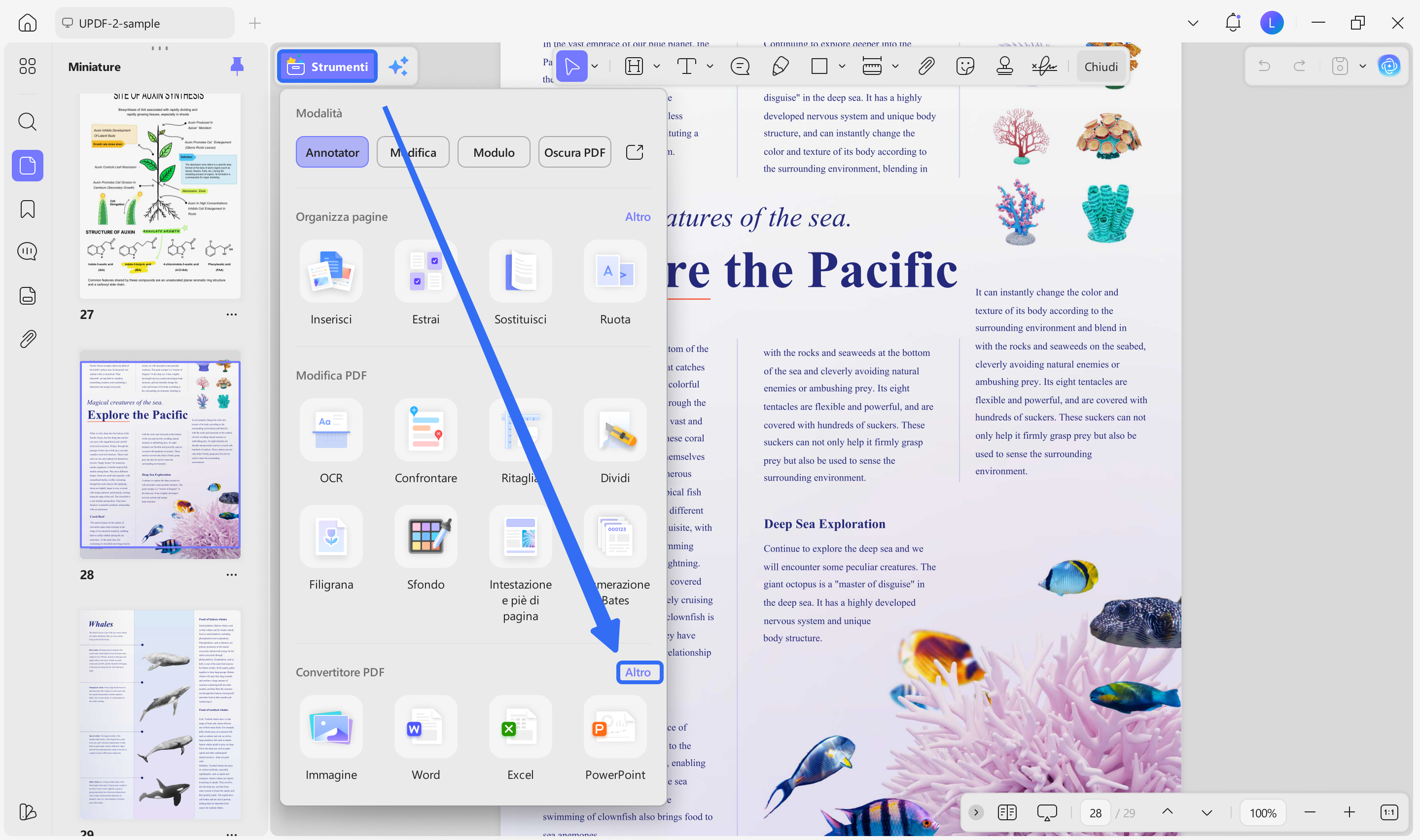 html vs htm pdf to html