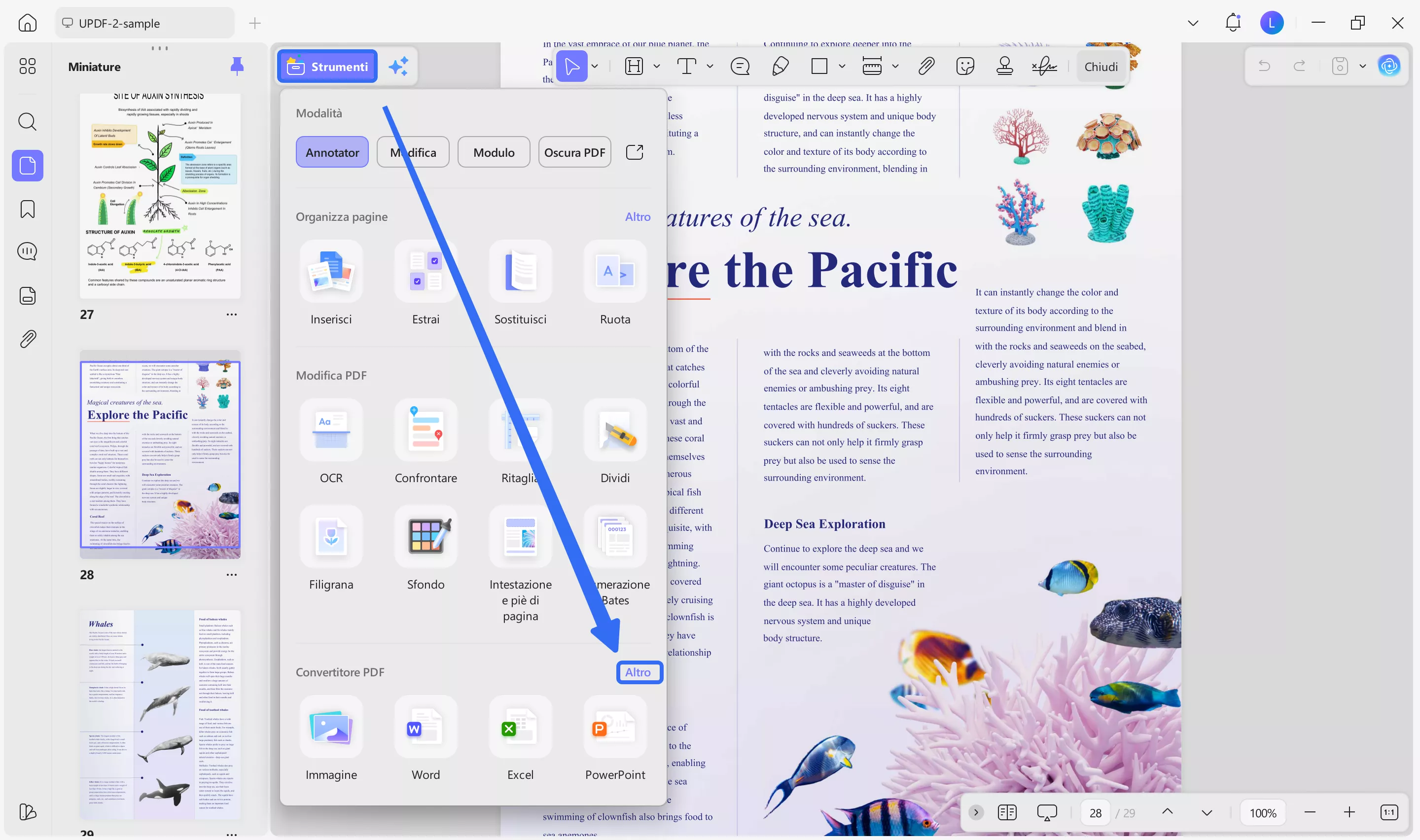 html vs htm pdf to html