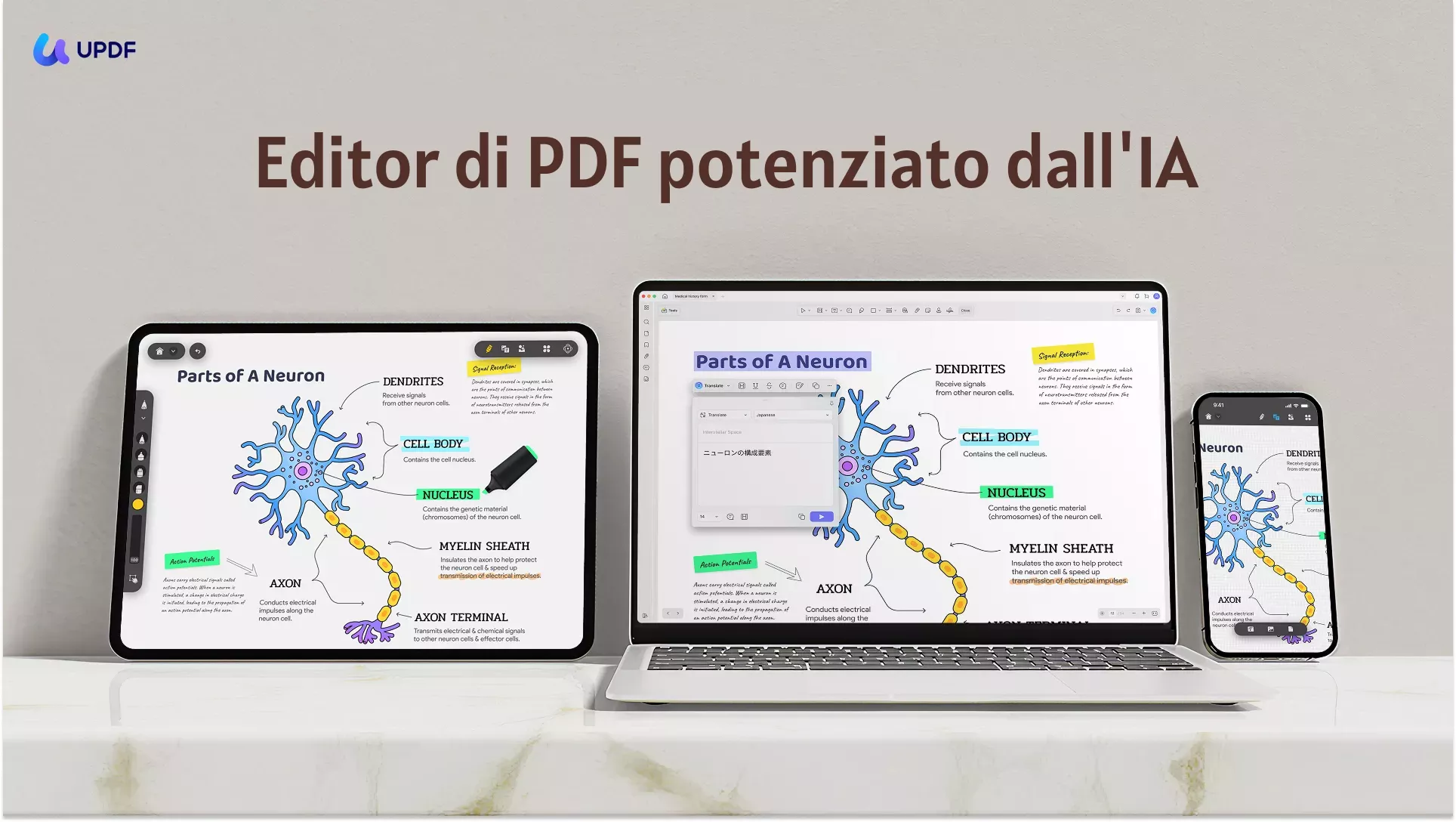 Il Rapporto sull'Efficienza di PDF del 2026: perché i team ad alte prestazioni stanno passando a UPDF