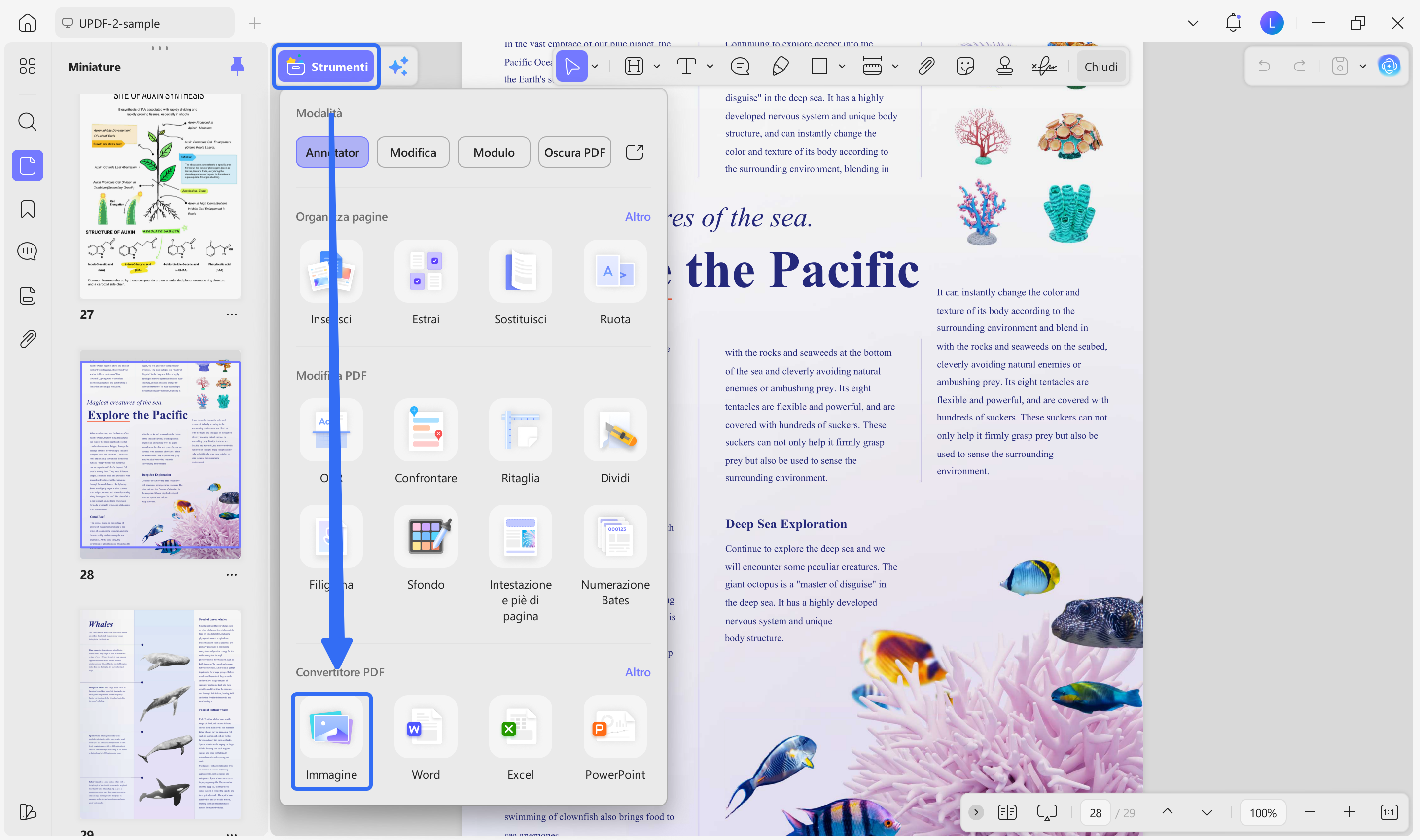 export pdf to image