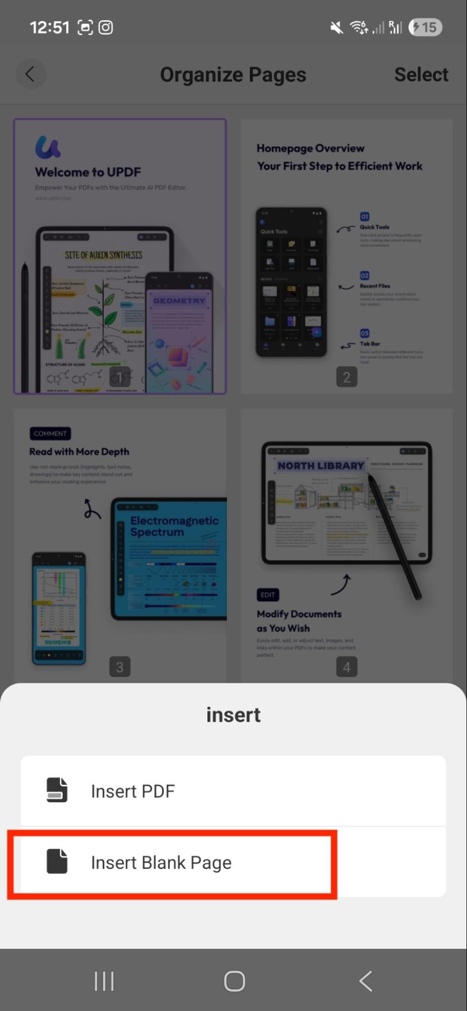 choose insert blank page