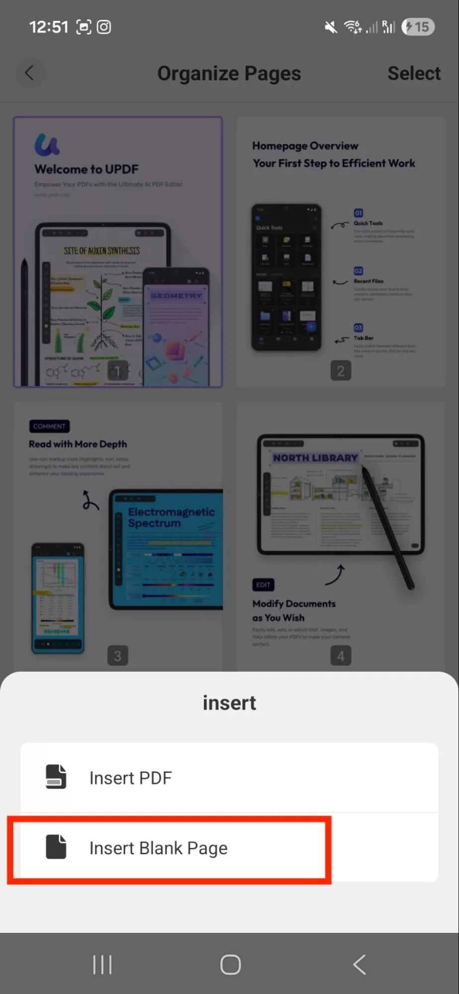 choose insert blank page
