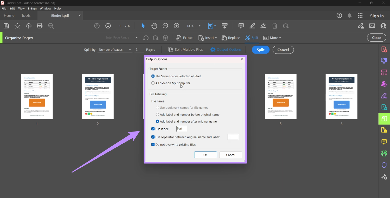 adjust output options