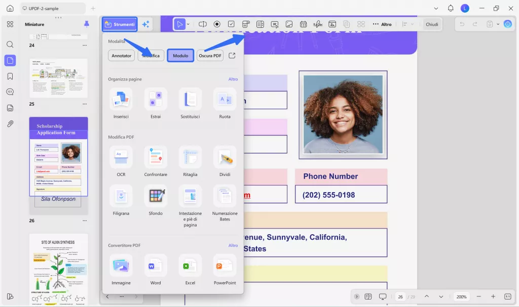 select form option from tools