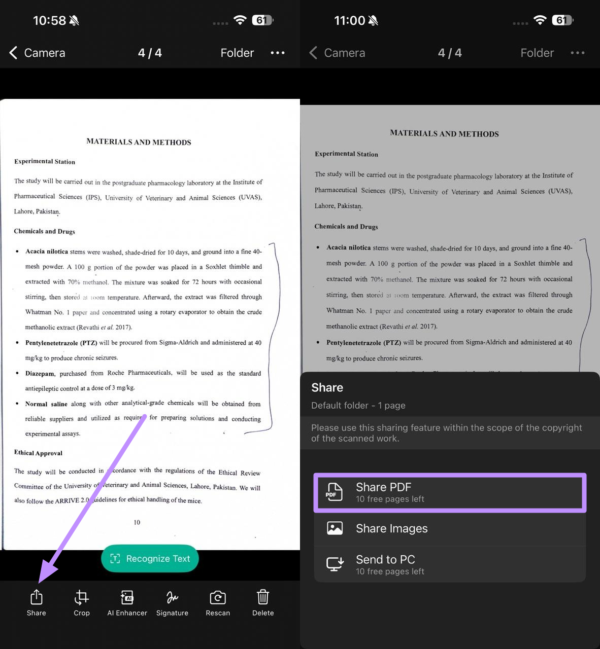 share document as pdf