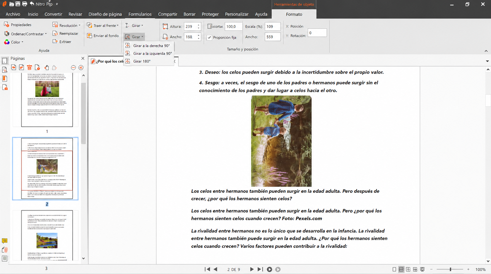 interfaz-de-nitro-organizar-pdf