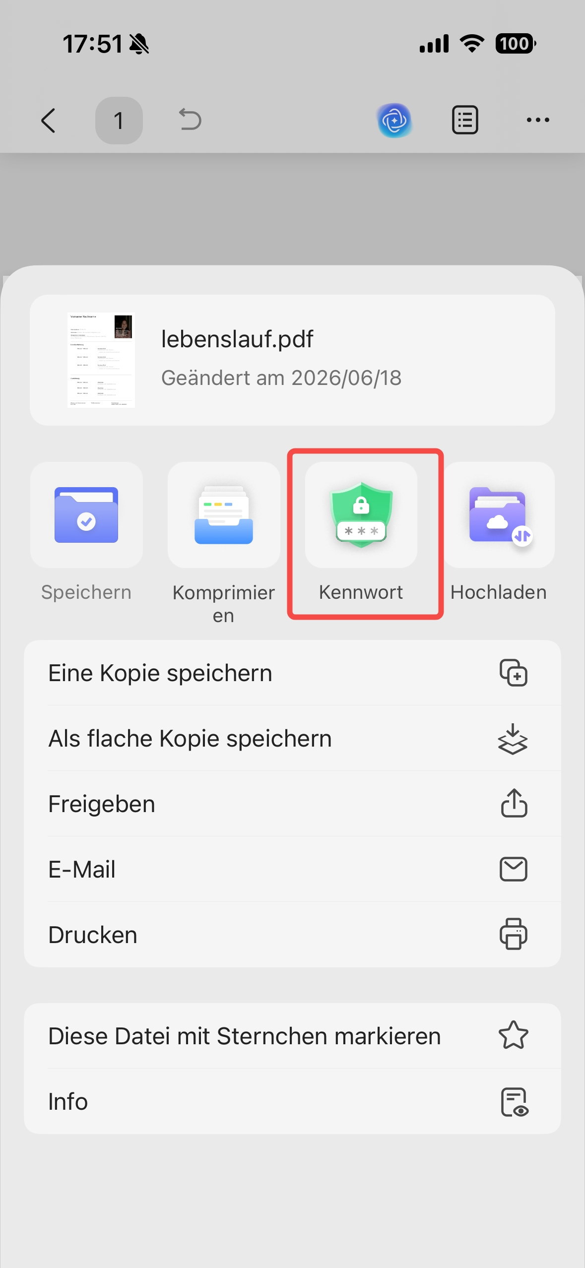 PDF schützen mit Passwort in UPDF auf iPhone