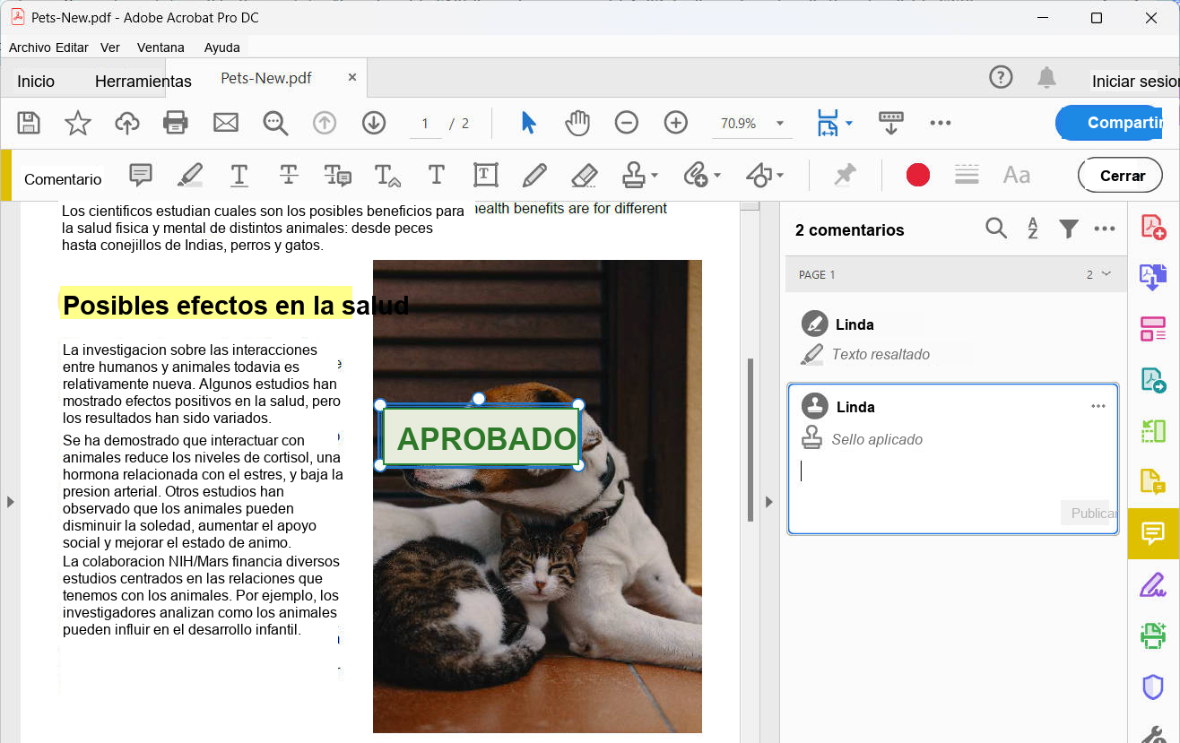 anotador-pdf-interfaz-de-adobe