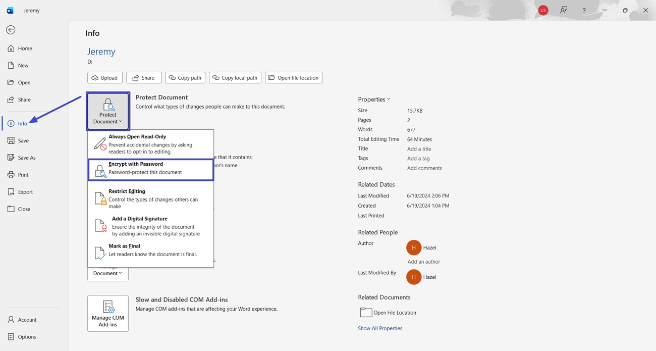 password encryption option word