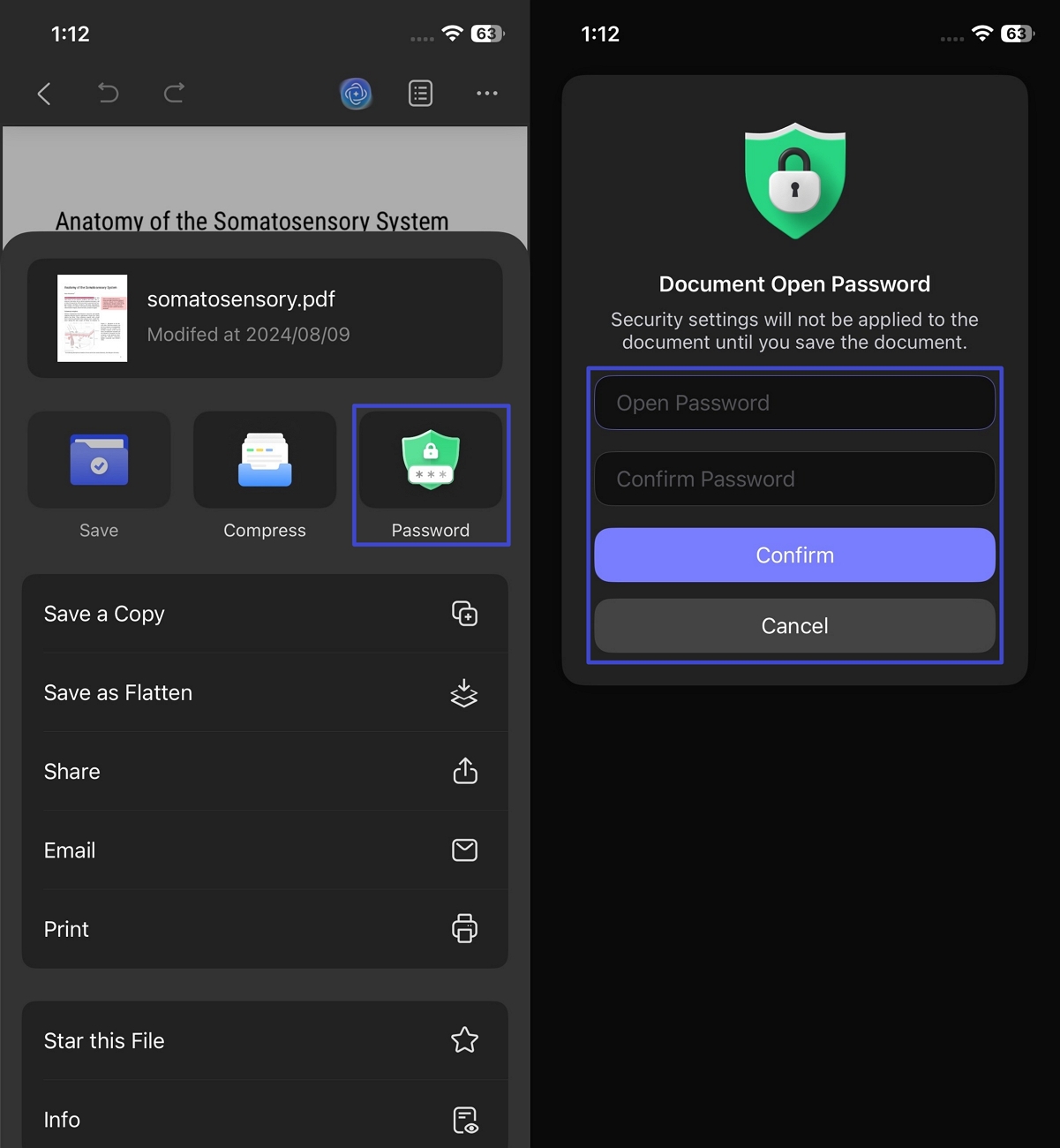 apply open password pdf updf ios