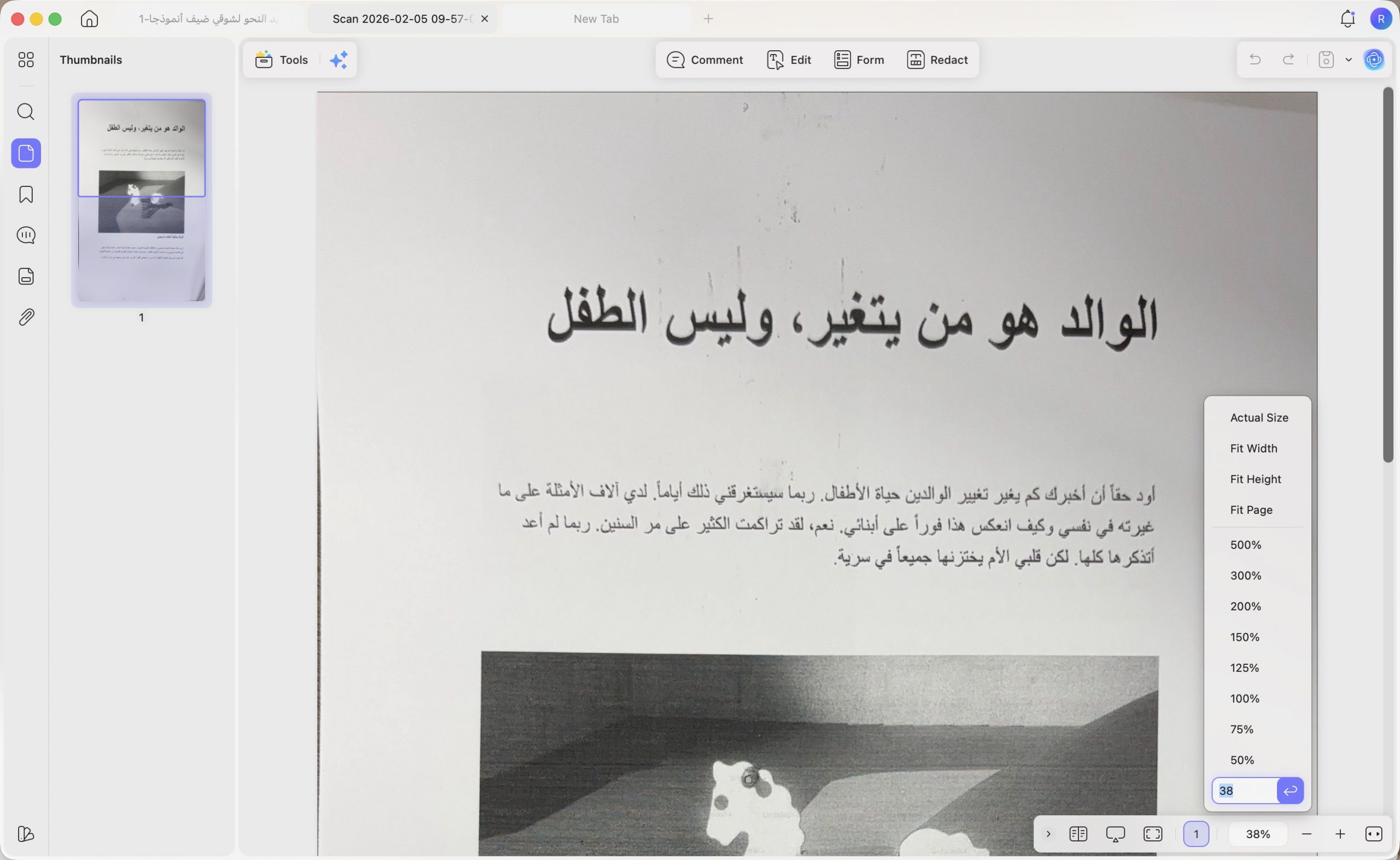 عارض PDF الصفحة