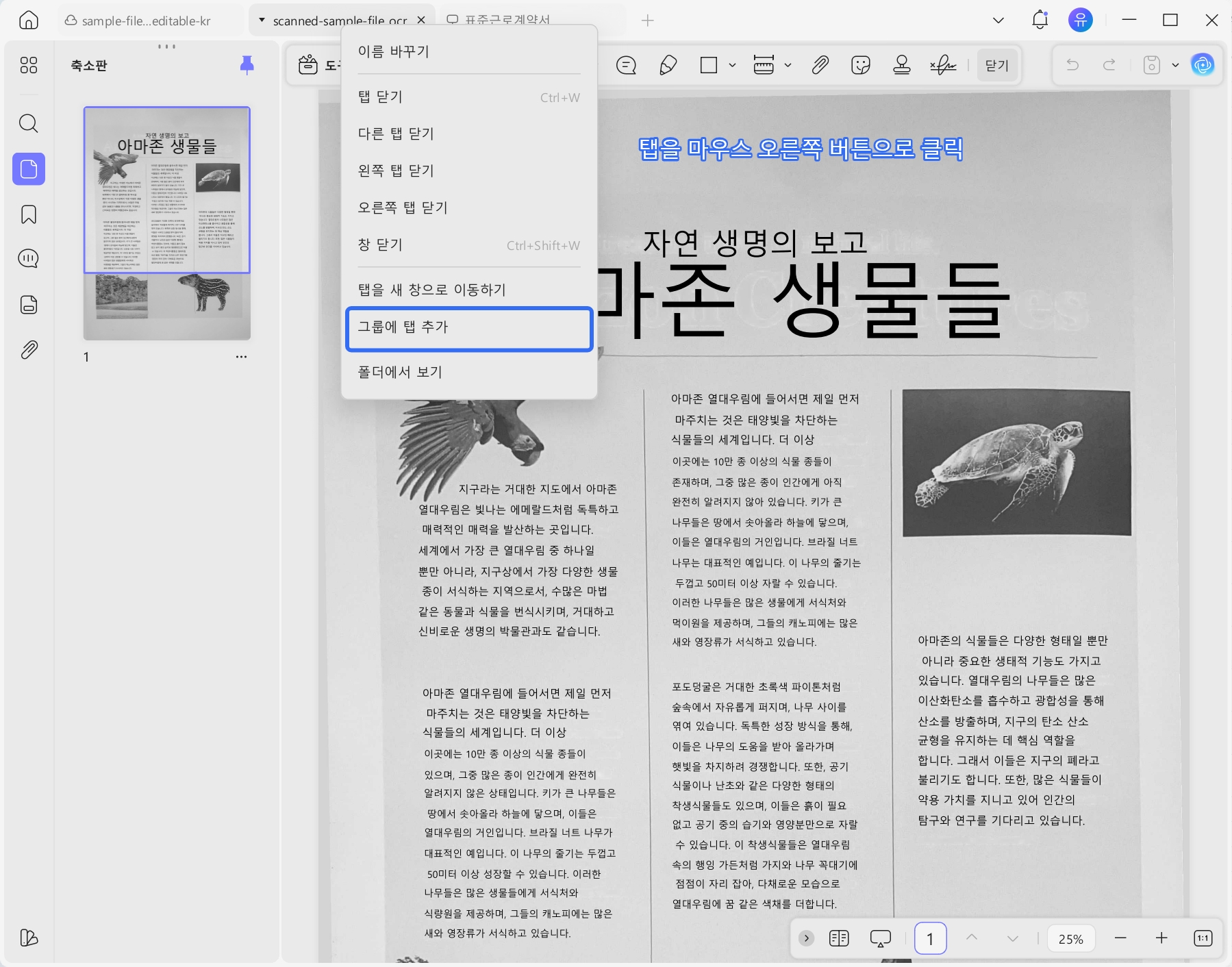 PDF 탭을 마우스 오른쪽 버튼으로 클릭하여 탭 그룹에 추가