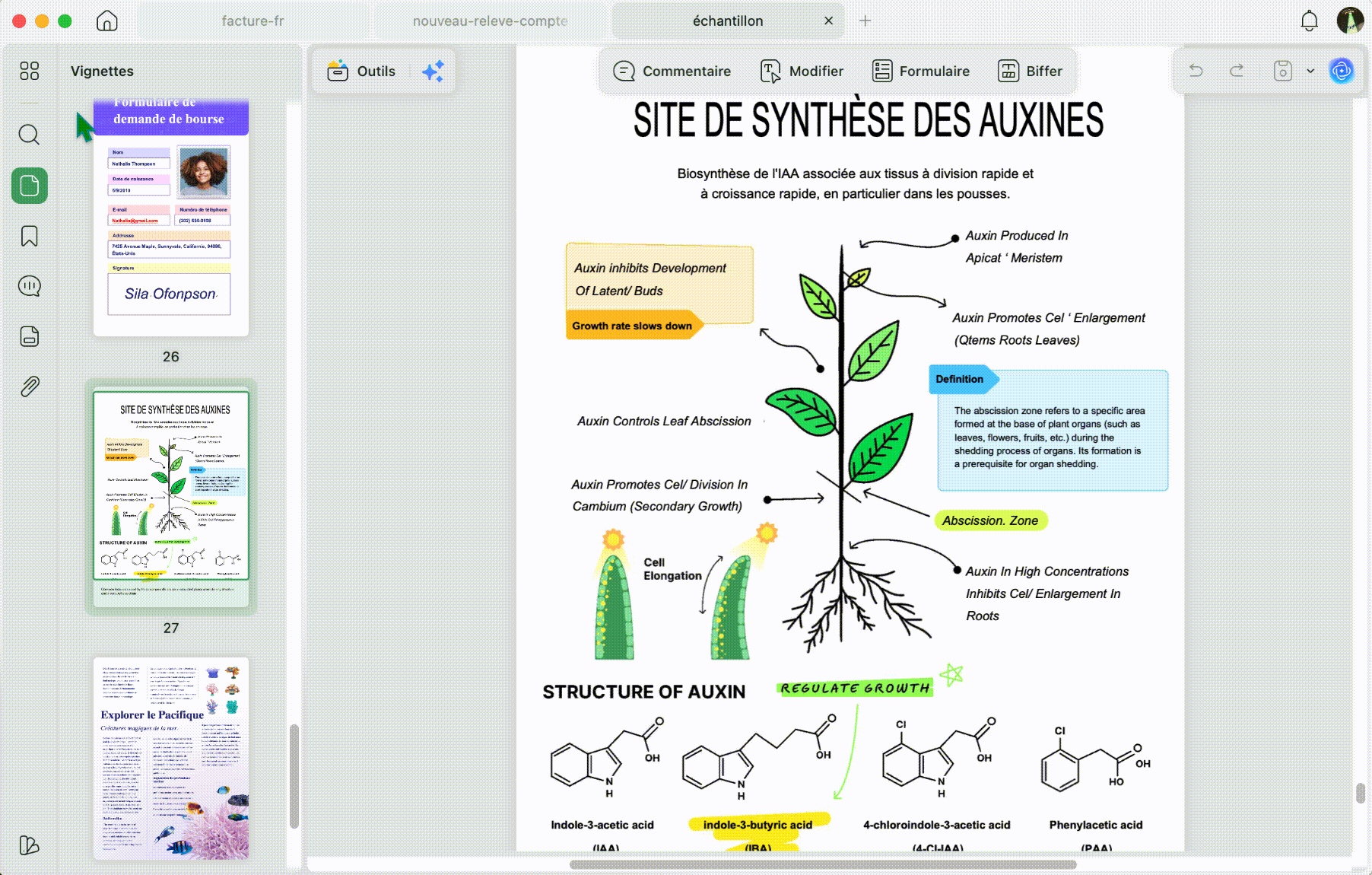dupliquer plusieurs pages