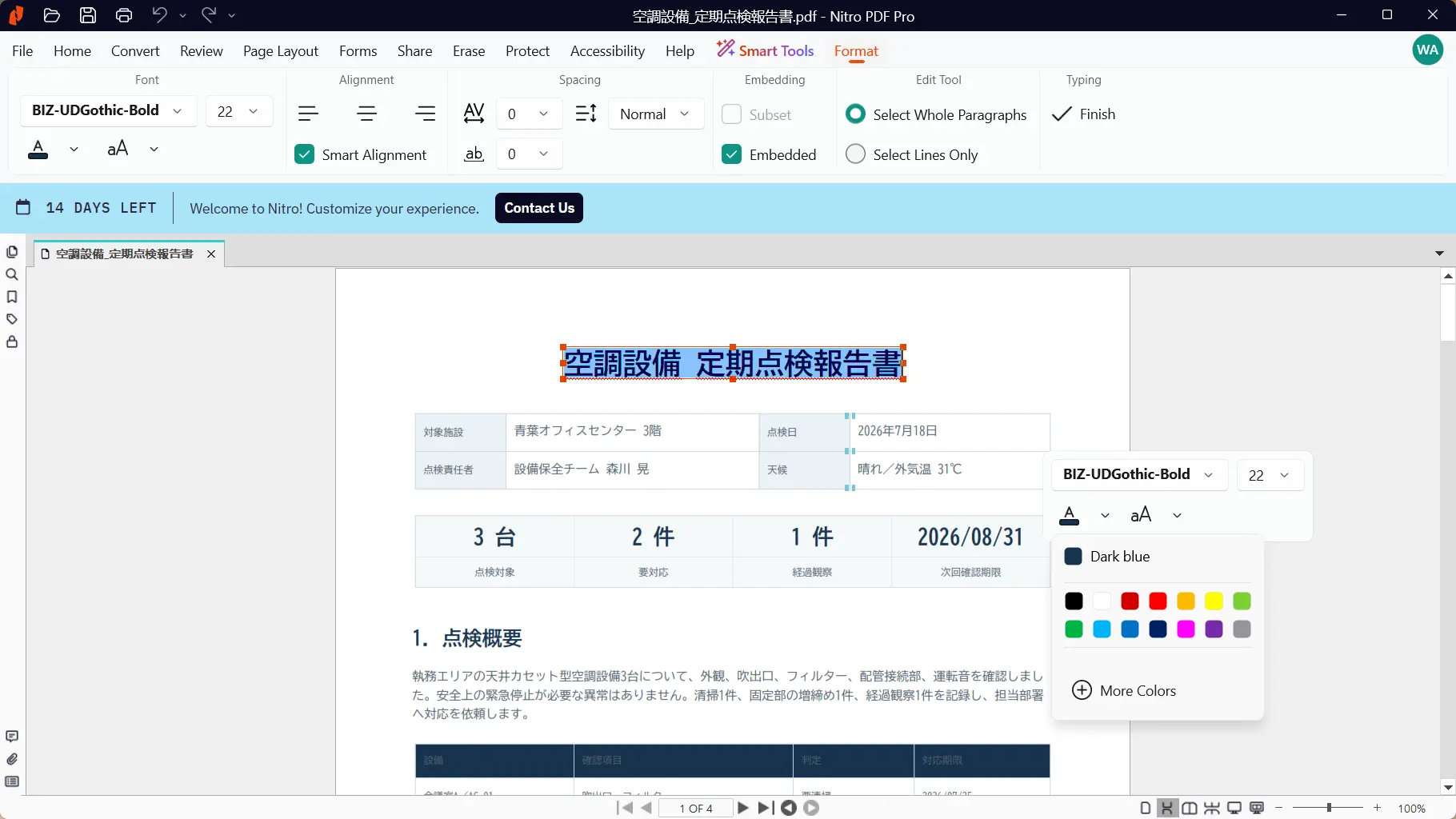 Nitro PDFのテキスト編集画面