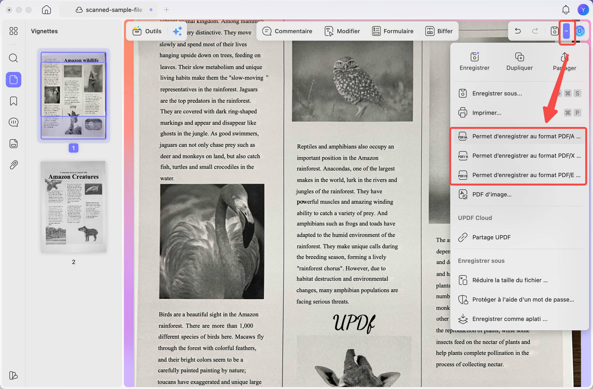 Choisir différents formats PDF selon l’usage du document