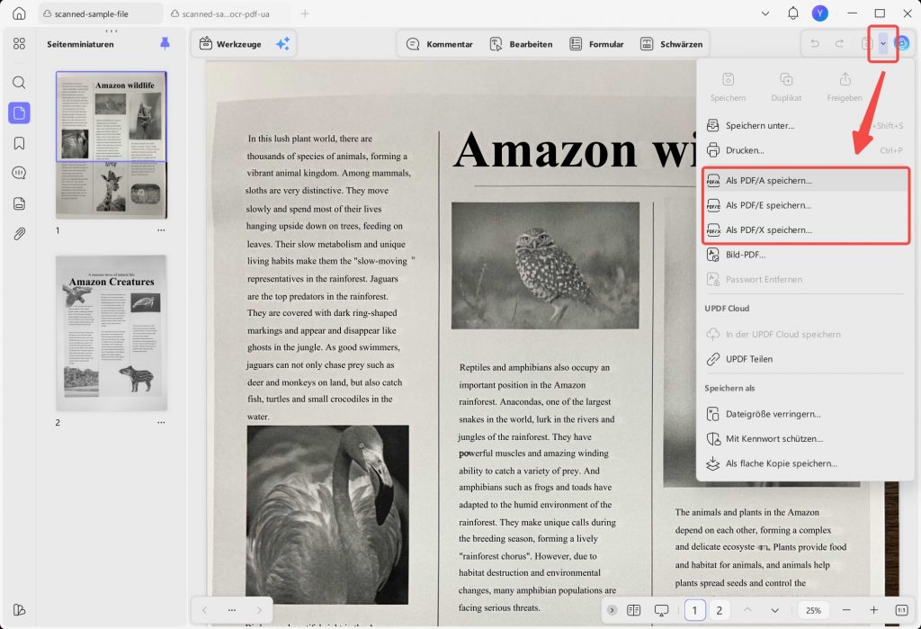 PDF/UA, PDF/A, PDF/X und PDF/E: Welches Format brauchen Sie?