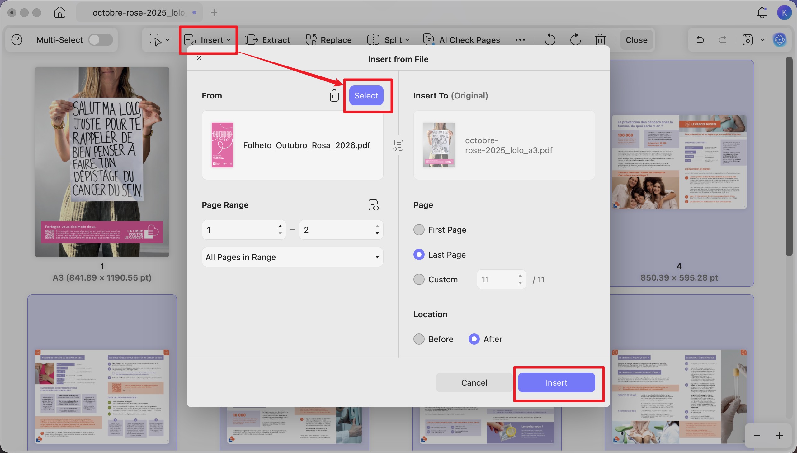 combine poster and brochure into one file with updf